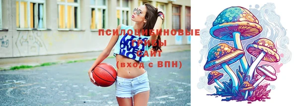 круглые Алзамай