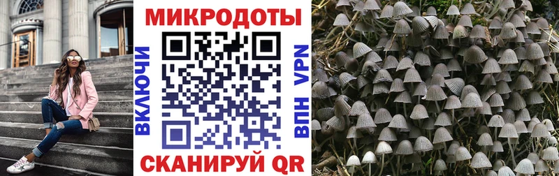 Псилоцибиновые грибы мухоморы  Егорьевск 