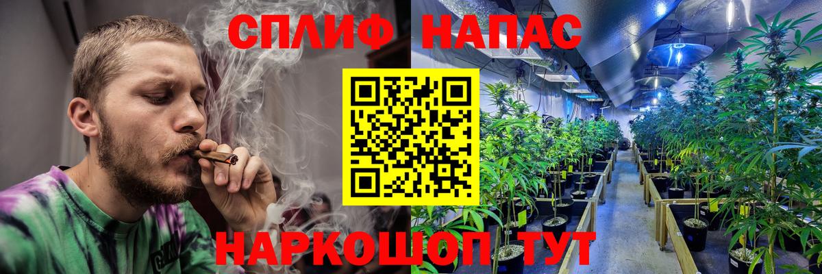 Шишки марихуана VHQ  Марихуана Bruce Banner  МАРИХУАНА VHQ  Егорьевск  Вход с VPN 